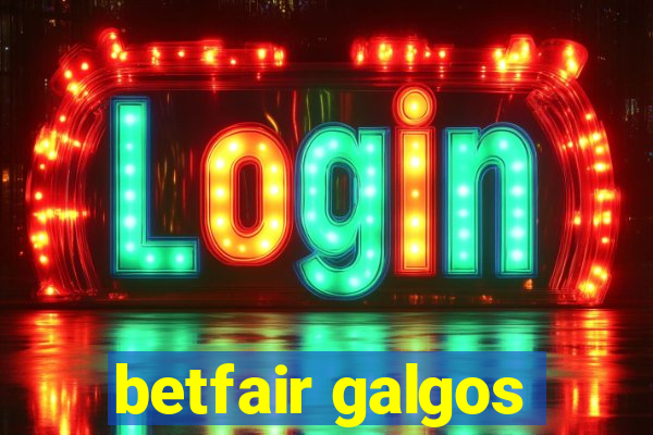 betfair galgos